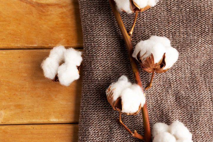 コットン製ラグのメリット デメリットとは おすすめ製品もご紹介 リノベーション情報サイト Reno