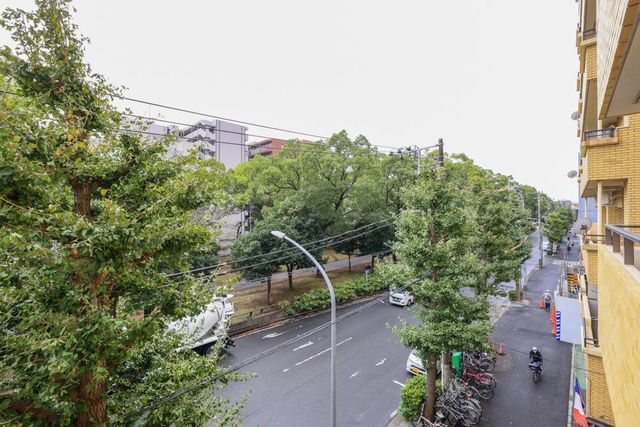【眺望】横浜大通り公園に面しているので、緑豊かな眺望です。前面の建物と距離があるので開放感があります