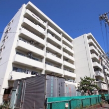 昭和５６年築・総戸数６６戸　落ち着いたカラーリングのマンションです。