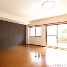 14.7帖のLDK。南東向きのため、日当たりが良く室内は明るい印象です♪
