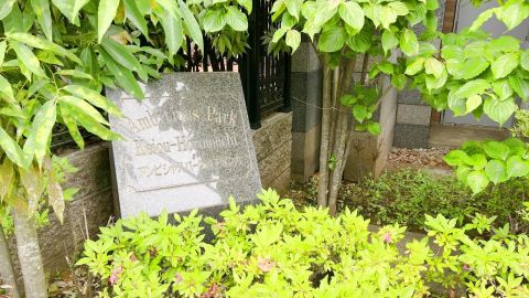 植栽の中にひっそりと館銘板。自己主張の控えめな上品な感じが良いですね。