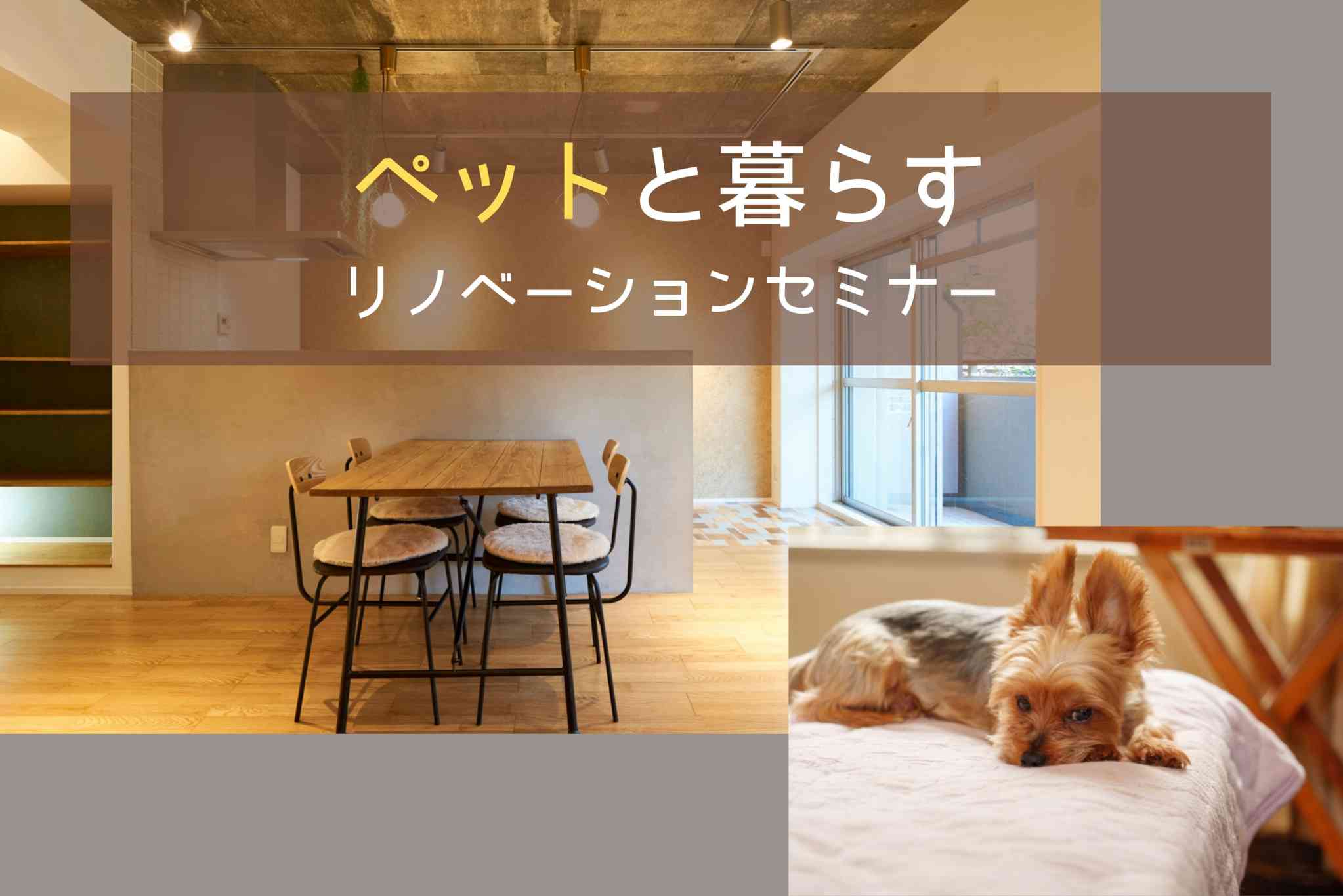 ペットと暮らすリノベーションセミナー【オンライン対応可能!】