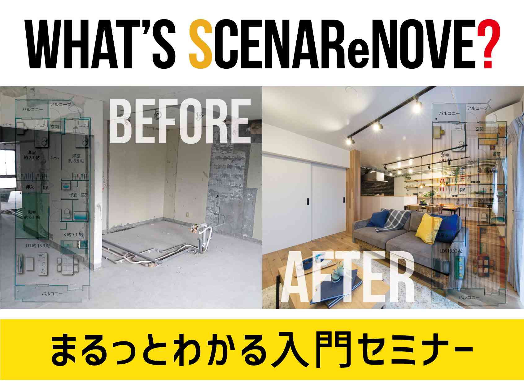 WHAT'S SCENAReNOVE?